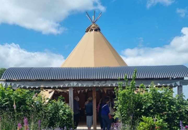 Teepee tent next to a lavender field and cafe