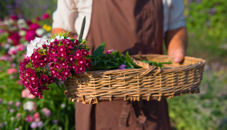 Picked flowers in a basket, held by a man in an apron