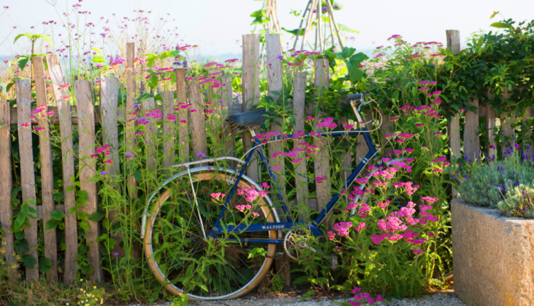 A Raleigh bike up against a fence surrounded with pink flowers