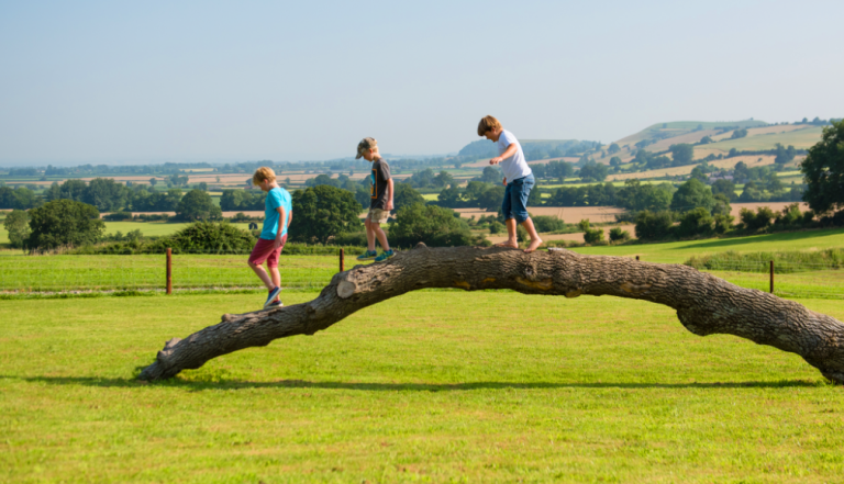 Three young children walking on a log in a field