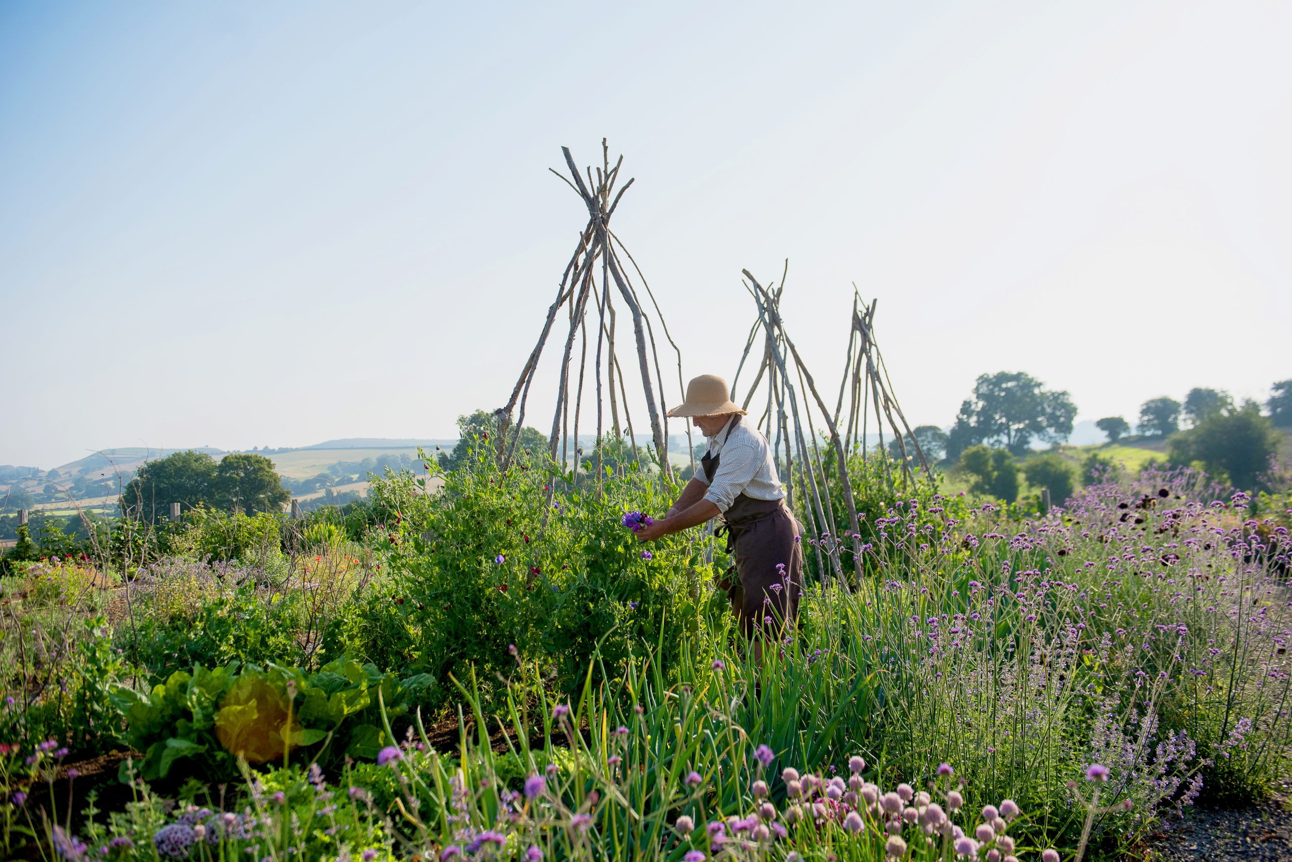 A man gardening in the countryside