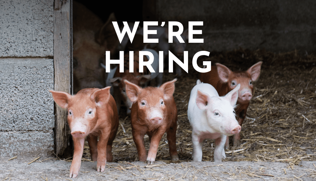 The Story Pig are hiring a farm assistant